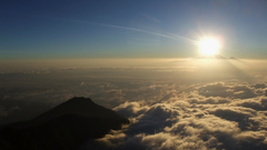 Philpic look wg some