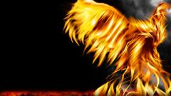 Phoenix artwork black background
