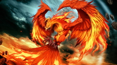 Phoenix artwork flames Birds