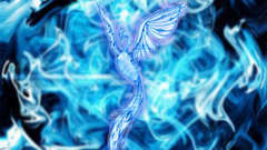 Phoenix bird
