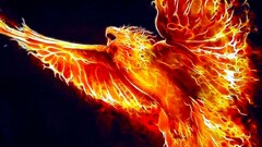 phoenix Birds Fractalius digital art fantasy art Animals fire