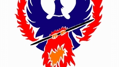 Phoenix colorlike The simplicity