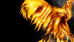 Phoenix fire