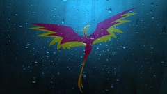 Phoenix my little pony