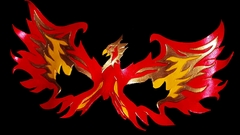 Phoenix rising high bird