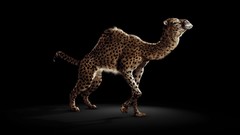 Photo manipulation fake