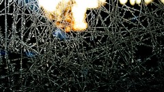 Photo shoot artwork trippy