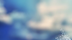 Photograph Simple Background