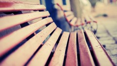 Photographers charm depth of field