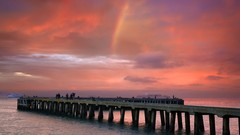 Photographers photograph