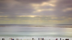 Photographers photograph