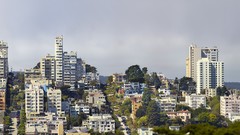 Photographers photograph