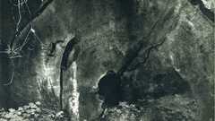 Photography Art edward weston