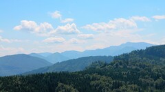 photography canon landscape Austria forest hills