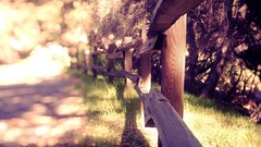 photography fence sunlight grass
