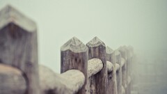 photography nature Wood fence mist depth of field outdoors