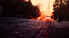 photography urban City warm colors fall road tram cobblestone