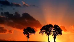 Photos awesome sunrise Rays