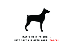 Photoshop Now best all friend mans cs2