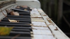 Piano abandoned fallen leaves