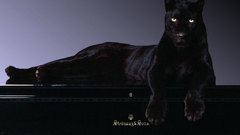 Piano Animals K2 black