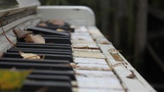 Piano antique fallen leaves piano keys