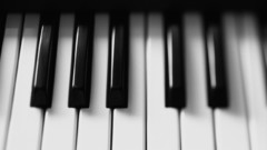 Piano keys white black