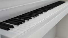 Piano monochrome instruments