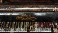 Piano Musical Instruments