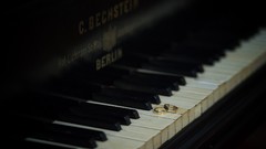 Piano rings wedding