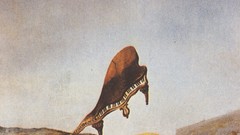 Piano skulls Salvador Dalí