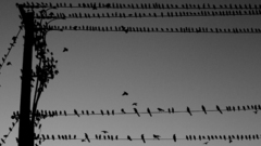 Picture high myself took Resolution