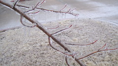 Picture high Resolution