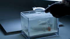 Picture Last The but dunno coincidentally