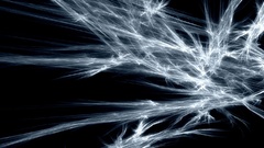 Picture there are This 128