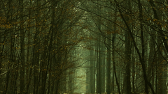 Pictures ill high bump ) With few dajyw