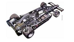 Pictures lotus like This have anyone