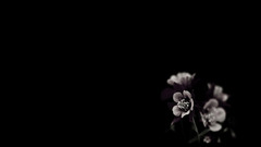 Pictures taking boring get dsc started