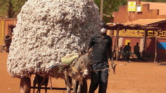 Pictures The some enjoy While answer cimg await