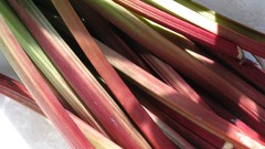 Pie vegetables fruits rhubarb