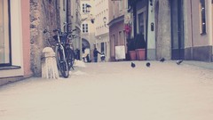 Pigeons Bicycles streets towns