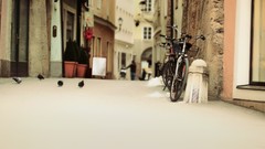 Pigeons Bicycles urban