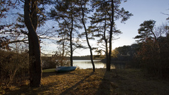 Pilgrim awesome view nature