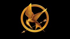 Pin the hunger games mockingjay