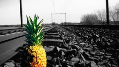 Pineapples railroad tracks selective coloring