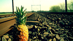 pineapples railway fruit stones food metal Green outdoors