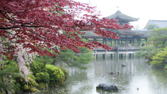 Pink asian architecture lakes