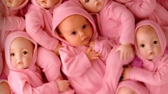 Pink babies toys (children) Anne Geddes the brood