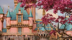 Pink Castles fairy tales