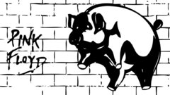 Pink floyd